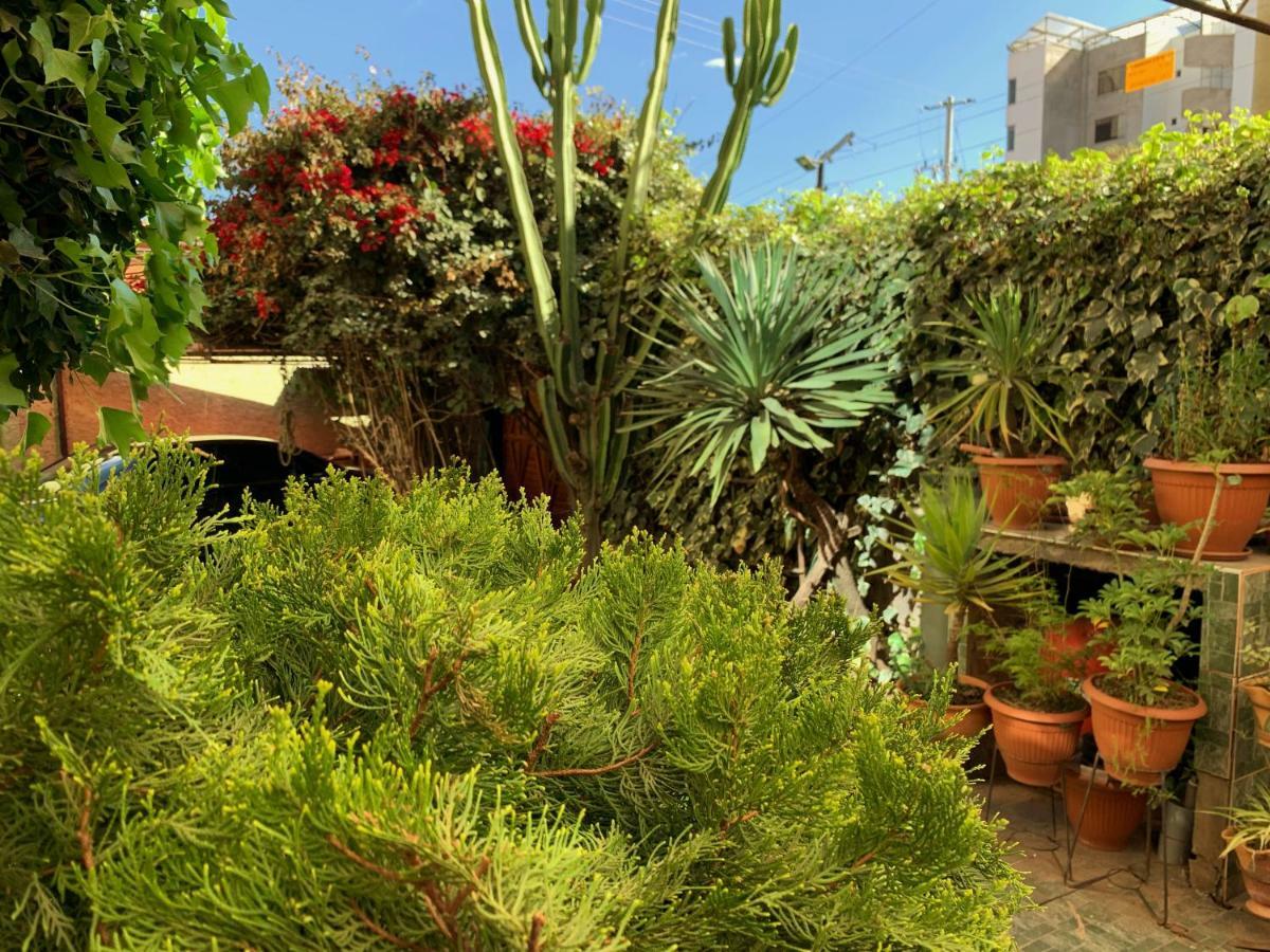 The King Sun Garden Hotel Cusco Exterior foto